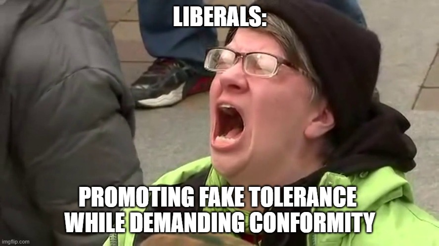 Funny one-liners: liberals are tolerant | LIBERALS:; PROMOTING FAKE TOLERANCE 
WHILE DEMANDING CONFORMITY | image tagged in screaming libtard,leftists,liberals | made w/ Imgflip meme maker