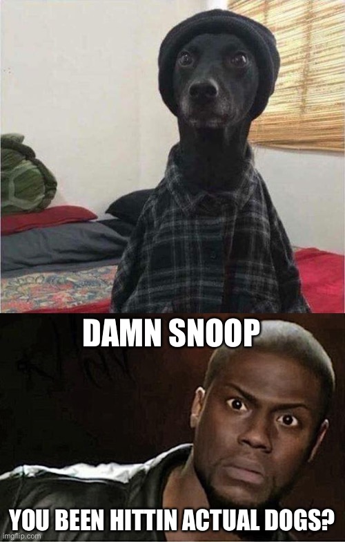 How to Avoid Child Support...... | DAMN SNOOP; YOU BEEN HITTIN ACTUAL DOGS? | image tagged in memes,kevin hart,snoop dogg,funny,child support | made w/ Imgflip meme maker