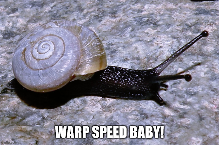 WARP SPEED BABY! | made w/ Imgflip meme maker