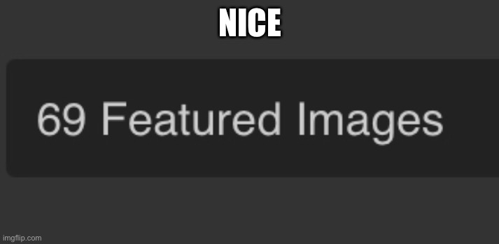 Nice | NICE | image tagged in 69 | made w/ Imgflip meme maker