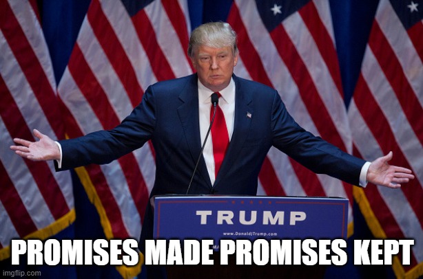 Donald Trump | PROMISES MADE PROMISES KEPT | image tagged in donald trump | made w/ Imgflip meme maker
