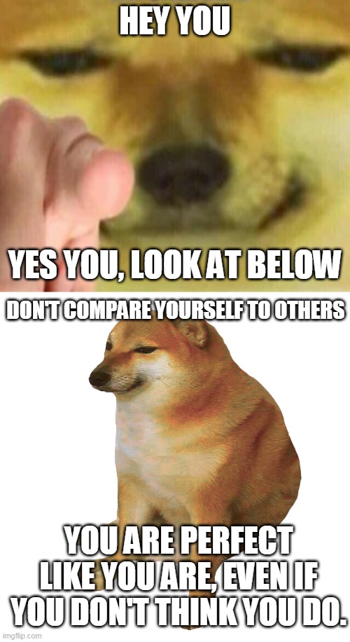 . | HEY YOU; YES YOU, LOOK AT BELOW; DON'T COMPARE YOURSELF TO OTHERS; YOU ARE PERFECT LIKE YOU ARE, EVEN IF YOU DON'T THINK YOU DO. | image tagged in cheems pointing at you,cheems | made w/ Imgflip meme maker