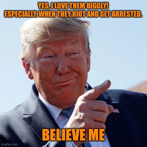 YES, I LOVE THEM BIGGLY! ESPECIALLY, WHEN THEY RIOT AND GET ARRESTED. BELIEVE ME | made w/ Imgflip meme maker