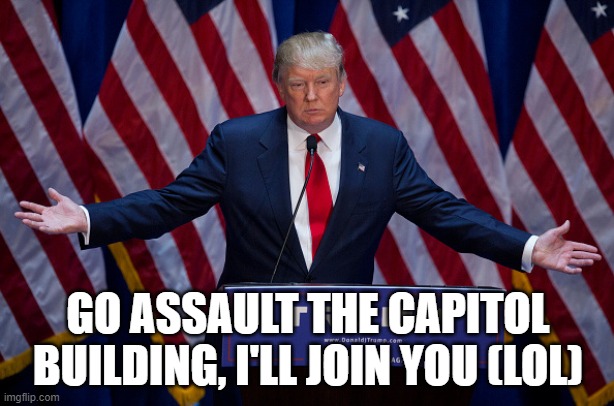 Donald Trump | GO ASSAULT THE CAPITOL BUILDING, I'LL JOIN YOU (LOL) | image tagged in donald trump | made w/ Imgflip meme maker