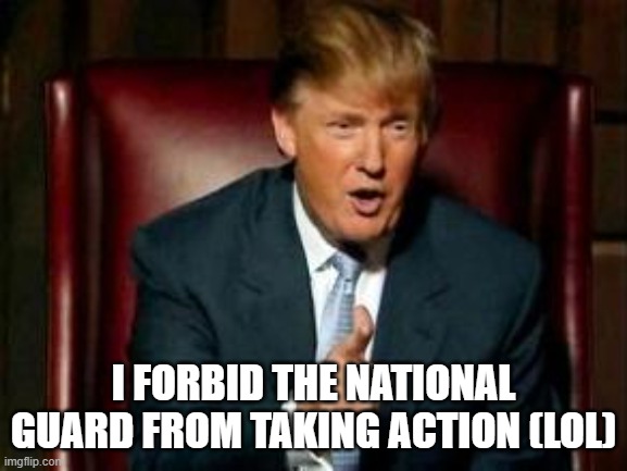 Donald Trump | I FORBID THE NATIONAL GUARD FROM TAKING ACTION (LOL) | image tagged in donald trump | made w/ Imgflip meme maker