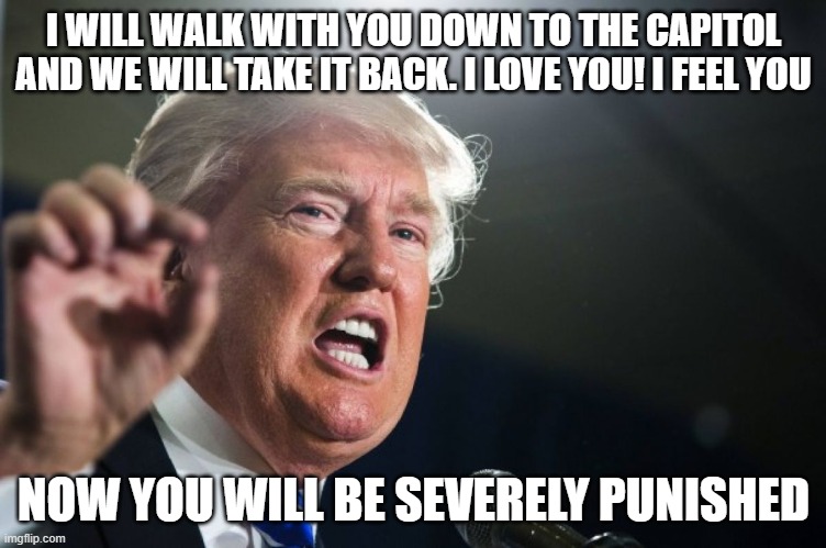 donald trump | I WILL WALK WITH YOU DOWN TO THE CAPITOL AND WE WILL TAKE IT BACK. I LOVE YOU! I FEEL YOU; NOW YOU WILL BE SEVERELY PUNISHED | image tagged in donald trump | made w/ Imgflip meme maker