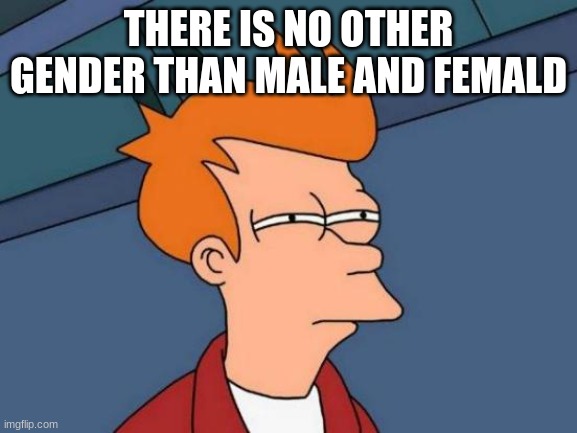 Futurama Fry Meme | THERE IS NO OTHER GENDER THAN MALE AND FEMALD | image tagged in memes,futurama fry | made w/ Imgflip meme maker