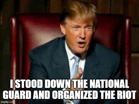 Donald Trump | I STOOD DOWN THE NATIONAL GUARD AND ORGANIZED THE RIOT | image tagged in donald trump | made w/ Imgflip meme maker