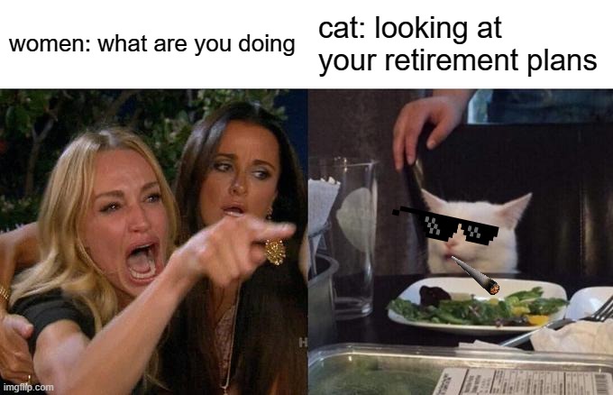 Woman Yelling At Cat |  women: what are you doing; cat: looking at your retirement plans | image tagged in memes,woman yelling at cat | made w/ Imgflip meme maker