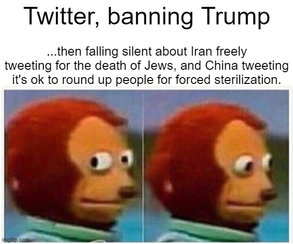 Twitter Sucks | Twitter, banning Trump; ...then falling silent about Iran freely tweeting for the death of Jews, and China tweeting it's ok to round up people for forced sterilization. | image tagged in memes,monkey puppet,left hyposcrisy | made w/ Imgflip meme maker