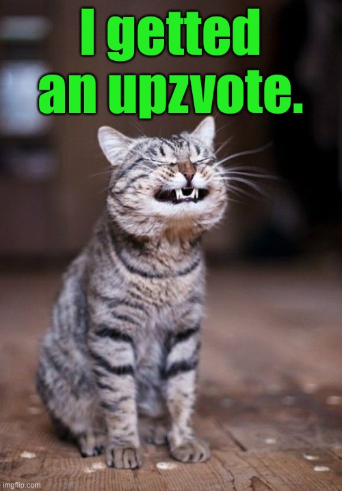 I getted an upzvote. | made w/ Imgflip meme maker