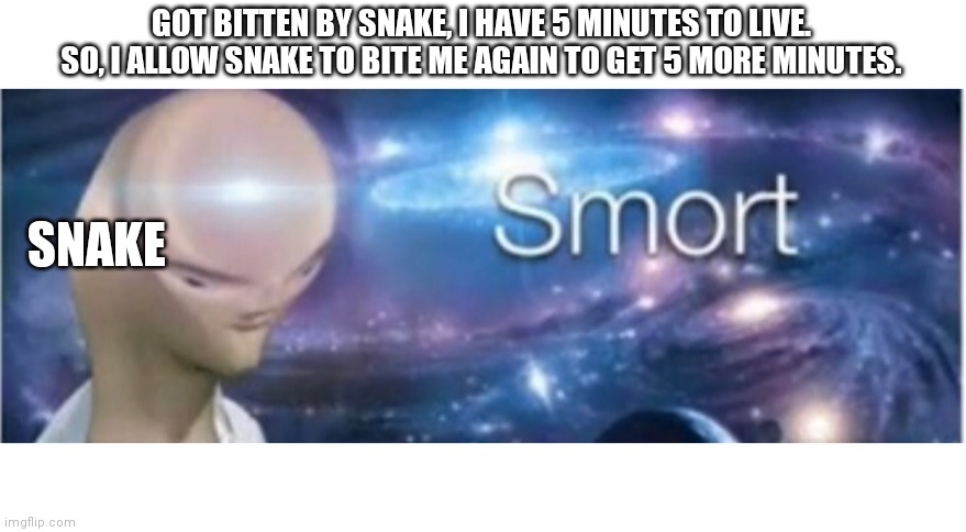 Meme man smort | GOT BITTEN BY SNAKE, I HAVE 5 MINUTES TO LIVE. SO, I ALLOW SNAKE TO BITE ME AGAIN TO GET 5 MORE MINUTES. SNAKE | image tagged in meme man smort | made w/ Imgflip meme maker