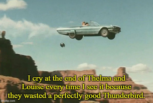 Saddest. Ending. Ever. | I cry at the end of Thelma and Louise every time I see it because they wasted a perfectly good Thunderbird. | image tagged in memes,thelma and louise,i love cars | made w/ Imgflip meme maker
