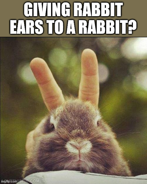 Miss You Bunny  | GIVING RABBIT EARS TO A RABBIT? | image tagged in miss you bunny,bunnies | made w/ Imgflip meme maker