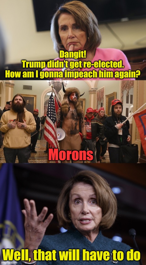 Nancy gets her wish | Dangit!
Trump didn’t get re-elected.
How am I gonna impeach him again? Morons; Well, that will have to do | image tagged in pelosi philosoraptor,three trump fans in capitol,good old nancy pelosi | made w/ Imgflip meme maker