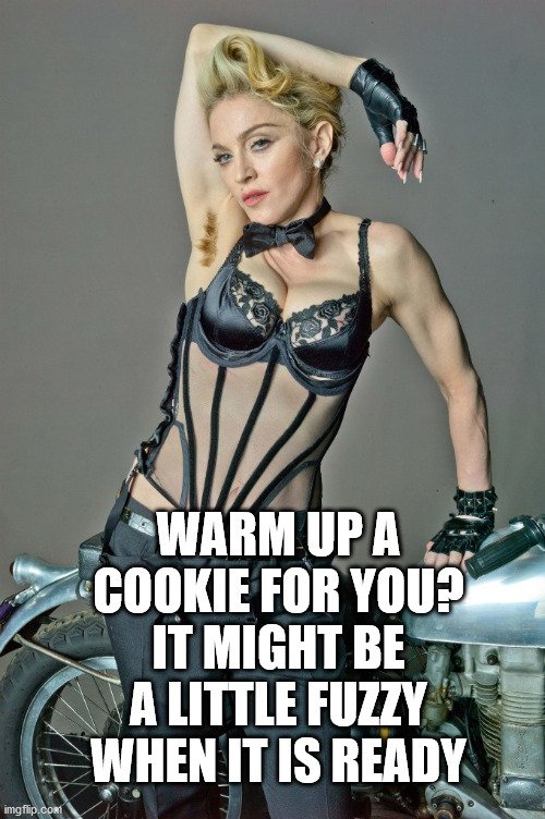 arm pit hair Madonna  | WARM UP A COOKIE FOR YOU? IT MIGHT BE A LITTLE FUZZY WHEN IT IS READY | image tagged in arm pit hair madonna | made w/ Imgflip meme maker