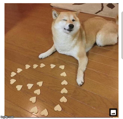 Dog heart | image tagged in dog heart | made w/ Imgflip meme maker