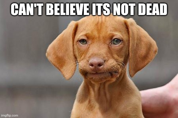 Dissapointed puppy | CAN'T BELIEVE ITS NOT DEAD | image tagged in dissapointed puppy | made w/ Imgflip meme maker