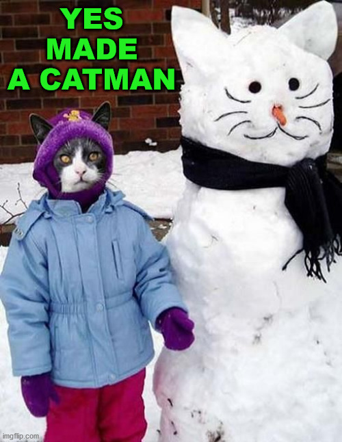 YES MADE A CATMAN | image tagged in cats | made w/ Imgflip meme maker