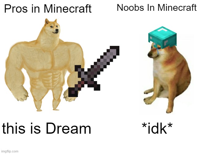 Dream vs Cheem | Pros in Minecraft; Noobs In Minecraft; this is Dream; *idk* | image tagged in memes,buff doge vs cheems | made w/ Imgflip meme maker