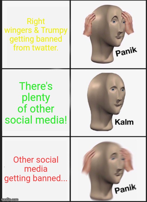 Don't worry kids! Big tech telling you what to think is good! | Right wingers & Trumpy getting banned from twatter. There's plenty of other social media! Other social media getting banned... | image tagged in memes,panik kalm panik,big,tech,facebook,twitter | made w/ Imgflip meme maker