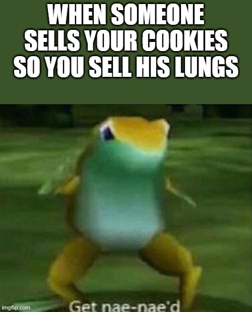i dont even know what to name this | WHEN SOMEONE SELLS YOUR COOKIES SO YOU SELL HIS LUNGS | image tagged in get nae-nae'd | made w/ Imgflip meme maker