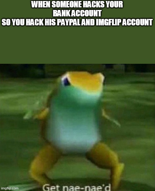 woooooooooo | WHEN SOMEONE HACKS YOUR BANK ACCOUNT
SO YOU HACK HIS PAYPAL AND IMGFLIP ACCOUNT | image tagged in get nae-nae'd | made w/ Imgflip meme maker