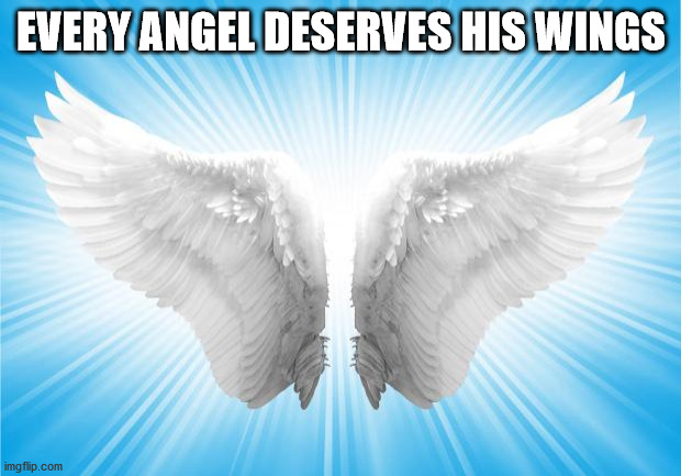 Angels | EVERY ANGEL DESERVES HIS WINGS | image tagged in angels | made w/ Imgflip meme maker