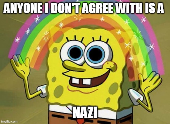 Imagination Spongebob Meme | ANYONE I DON'T AGREE WITH IS A NAZI | image tagged in memes,imagination spongebob | made w/ Imgflip meme maker