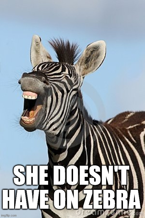 Laughing Zebra | SHE DOESN'T HAVE ON ZEBRA | image tagged in laughing zebra | made w/ Imgflip meme maker