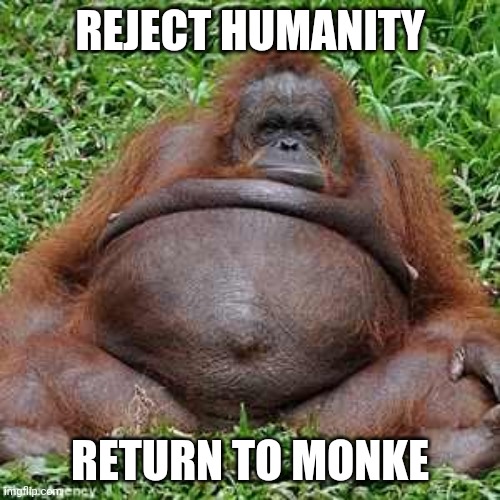 Humanity vs Monke | REJECT HUMANITY; RETURN TO MONKE | image tagged in fat monkey | made w/ Imgflip meme maker