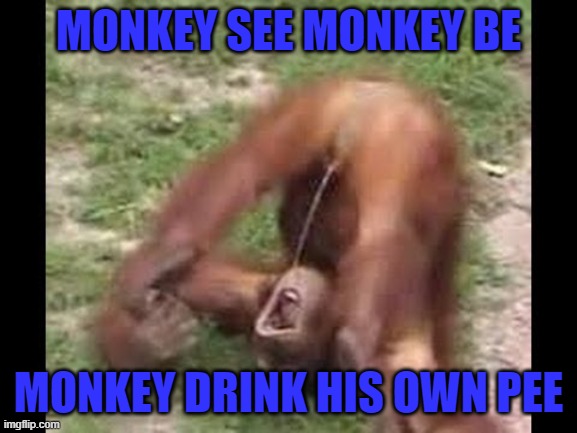 MONKEY SEE MONKEY BE MONKEY DRINK HIS OWN PEE | made w/ Imgflip meme maker