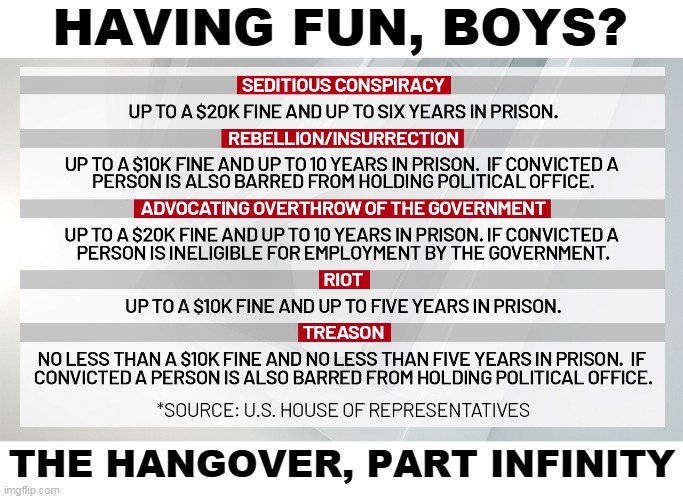 You can share a prison cell with a large black man. You'll call him Bubba, and he'll call you Sylvia. | HAVING FUN, BOYS? THE HANGOVER, PART INFINITY | image tagged in mob,riot,crime,punishment | made w/ Imgflip meme maker