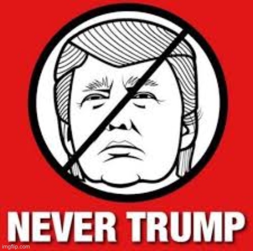 Never Trump | image tagged in never trump | made w/ Imgflip meme maker