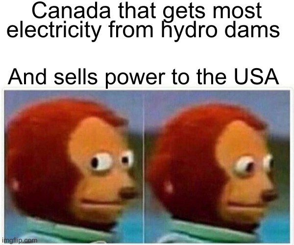 Monkey Puppet | Canada that gets most electricity from hydro dams; And sells power to the USA | image tagged in memes,monkey puppet | made w/ Imgflip meme maker