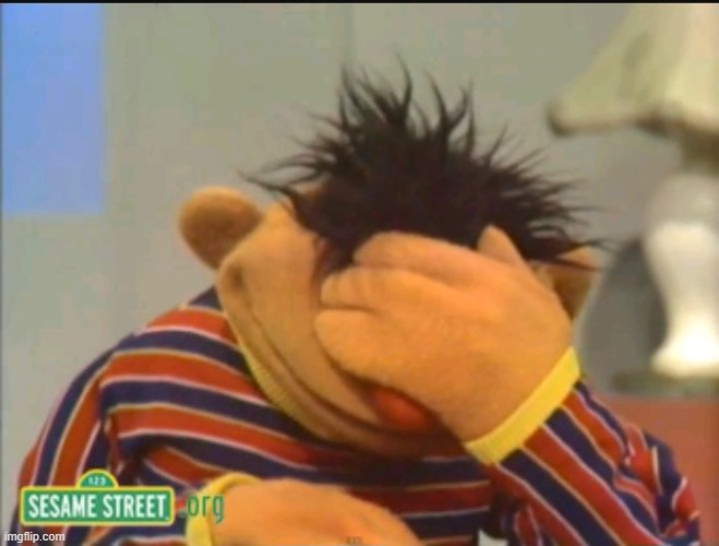 Ernie face palm | image tagged in ernie face palm | made w/ Imgflip meme maker