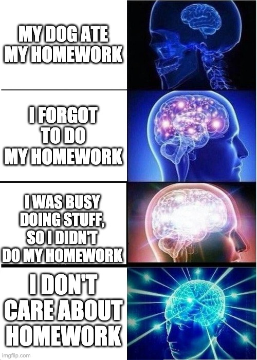 Homework | MY DOG ATE MY HOMEWORK; I FORGOT TO DO MY HOMEWORK; I WAS BUSY DOING STUFF, SO I DIDN'T DO MY HOMEWORK; I DON'T CARE ABOUT HOMEWORK | image tagged in memes,expanding brain,big brain,homework | made w/ Imgflip meme maker