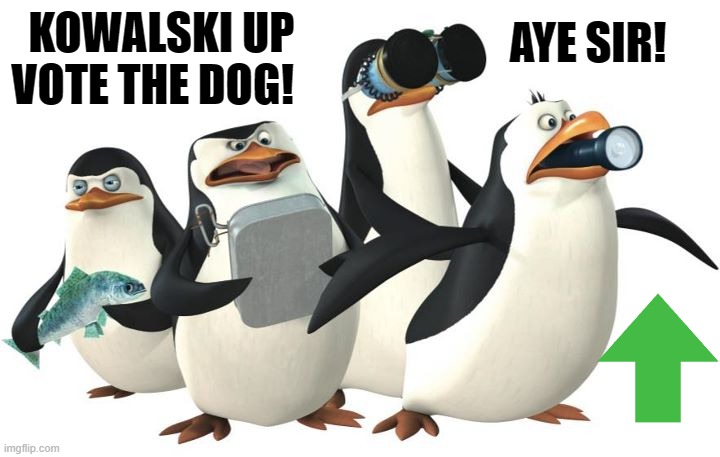 penquines | KOWALSKI UP VOTE THE DOG! AYE SIR! | image tagged in penquines | made w/ Imgflip meme maker