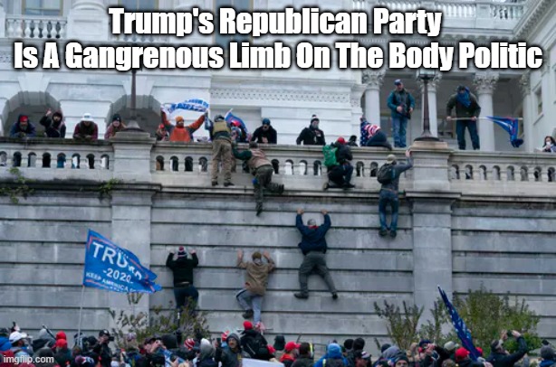 "Trump's Republican Party Is A Gangrenous Limb On The Body Politic" | Trump's Republican Party 
Is A Gangrenous Limb On The Body Politic | image tagged in republican party,the party of trump,political gangrene | made w/ Imgflip meme maker