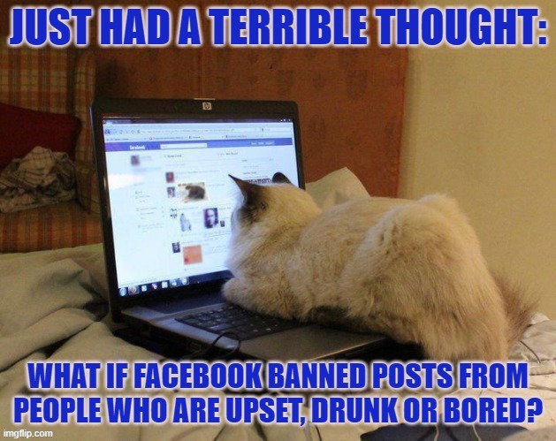 What if Facebook banned all posts from people who are upset, drunk or bored? | image tagged in facebook,boredom,bored keyboard cat | made w/ Imgflip meme maker