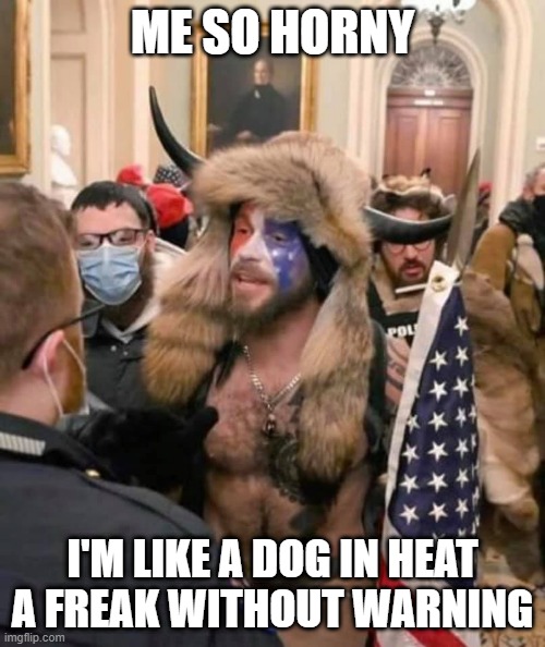 ME SO HORNY | ME SO HORNY; I'M LIKE A DOG IN HEAT
A FREAK WITHOUT WARNING | image tagged in party hard | made w/ Imgflip meme maker