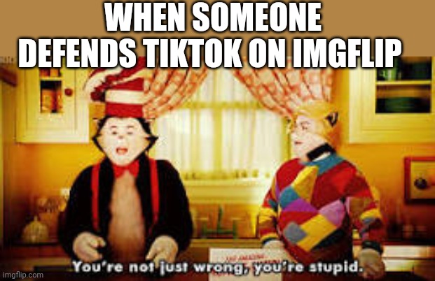 Your not just wrong your stupid | WHEN SOMEONE DEFENDS TIKTOK ON IMGFLIP | image tagged in your not just wrong your stupid | made w/ Imgflip meme maker