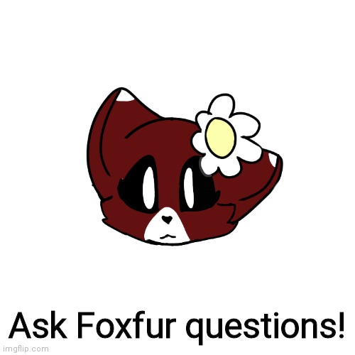 Ask Foxfur questions! | made w/ Imgflip meme maker