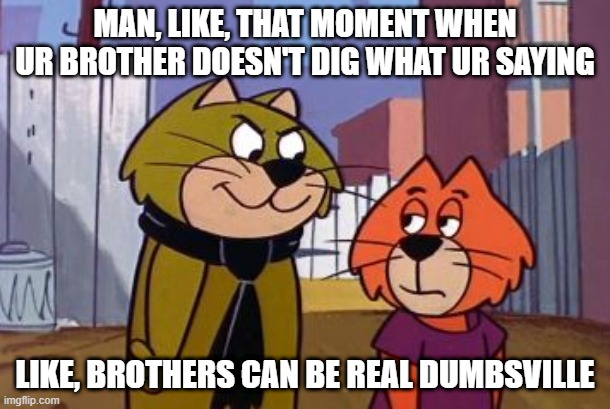 Brain Wasn't Listening | MAN, LIKE, THAT MOMENT WHEN UR BROTHER DOESN'T DIG WHAT UR SAYING; LIKE, BROTHERS CAN BE REAL DUMBSVILLE | image tagged in top cat | made w/ Imgflip meme maker