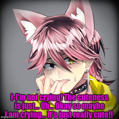 I-I'm not crying! The cuteness is just... Uh... Okay so maybe I am crying... It's just really cute!! | made w/ Imgflip meme maker