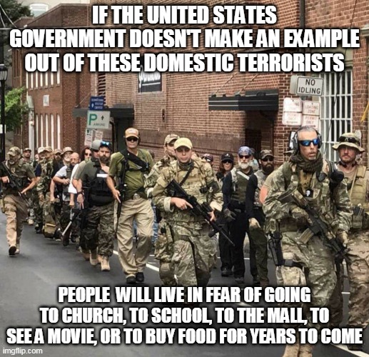 trump's militia | IF THE UNITED STATES GOVERNMENT DOESN'T MAKE AN EXAMPLE OUT OF THESE DOMESTIC TERRORISTS; PEOPLE  WILL LIVE IN FEAR OF GOING TO CHURCH, TO SCHOOL, TO THE MALL, TO SEE A MOVIE, OR TO BUY FOOD FOR YEARS TO COME | image tagged in trump's militia | made w/ Imgflip meme maker