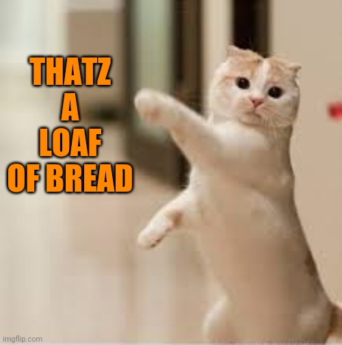 THATZ A LOAF OF BREAD | made w/ Imgflip meme maker