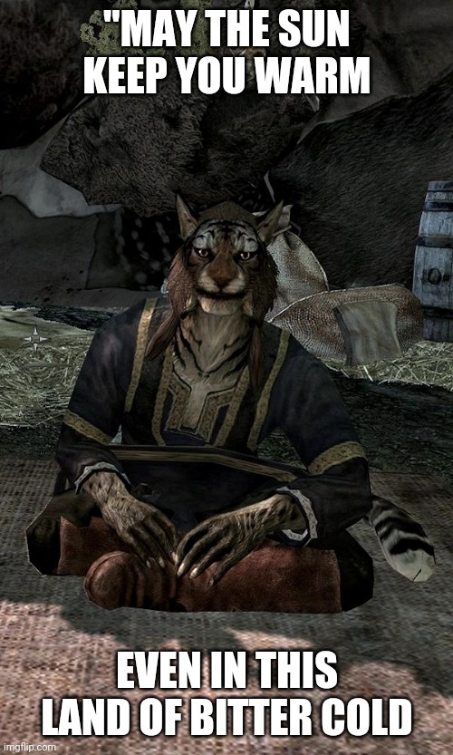 Khajiit | "MAY THE SUN KEEP YOU WARM EVEN IN THIS LAND OF BITTER COLD | image tagged in khajiit | made w/ Imgflip meme maker