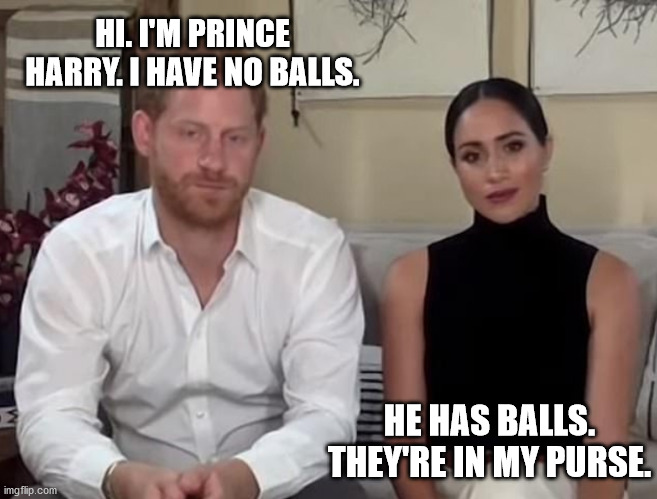 Harry and Meghan | HI. I'M PRINCE HARRY. I HAVE NO BALLS. HE HAS BALLS. THEY'RE IN MY PURSE. | image tagged in funny memes | made w/ Imgflip meme maker