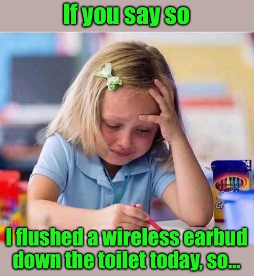 If you say so I flushed a wireless earbud down the toilet today, so... | made w/ Imgflip meme maker